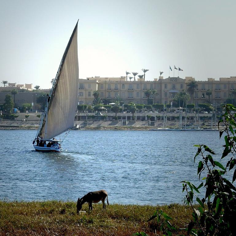 Villa Diletta Luxor Exterior foto