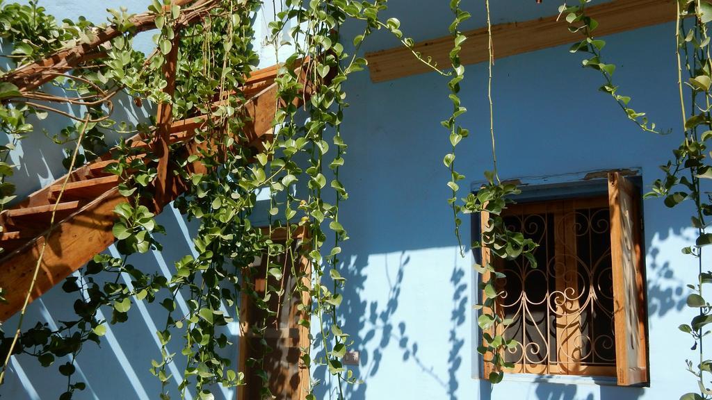 Villa Diletta Luxor Exterior foto